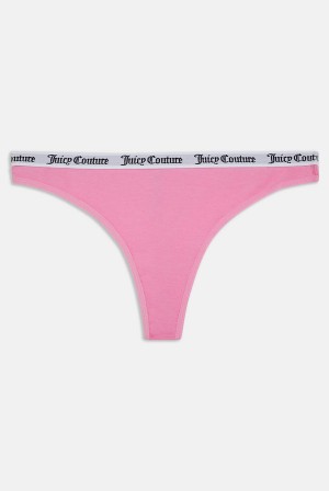 Begonia Pink Juicy Couture Cotton Branded Thong | JC-SN652257