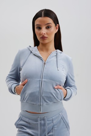 Blue Juicy Couture Classic Velour Robertson Hoodie | JC-SN652069