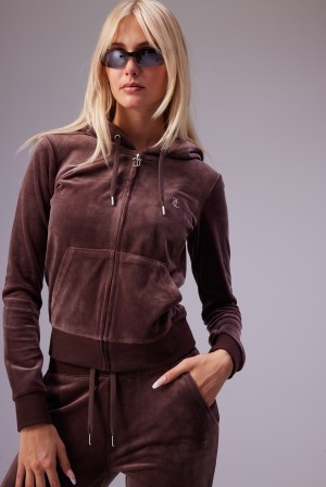 Brown Juicy Couture Classic Velour Diamante Robertson Hoodie | JC-SN652064