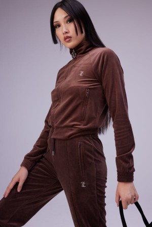 Brown Juicy Couture Velour Diamante Tracktop | JC-SN652059