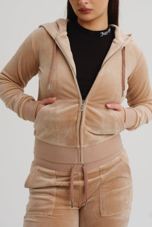 Caramel Juicy Couture Classic Velour Robertson Hoodie | JC-SN652079