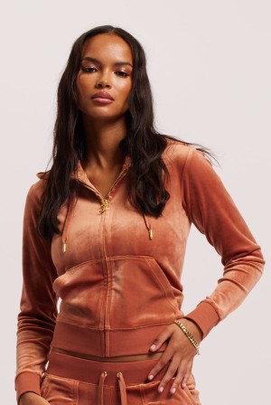 Copper Juicy Couture Classic Velour Robertson Hoodie | JC-SN652116