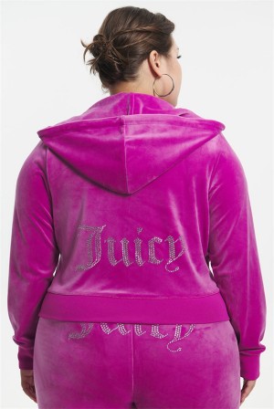 Electric Violet Juicy Couture Plus-size Og Big Bling Velour Hoodie | JC-SN651574