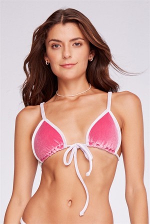 Fuchsia Juicy Couture Capittana April Bikini Top | JC-SN651859