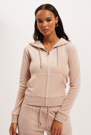 Mushroom Juicy Couture Classic Velour Robertson Hoodie | JC-SN652136