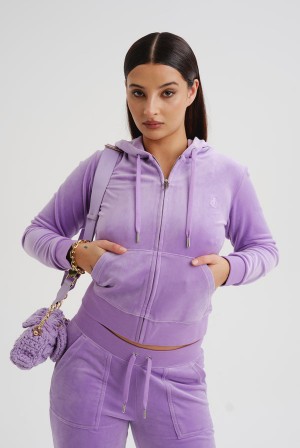 Sheer Lilac Juicy Couture Classic Velour Robertson Hoodie | JC-SN652072