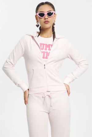 Soft Glow Juicy Couture Classic Cotton Velour Hoodie | JC-SN651527