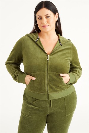 Super Greens Juicy Couture Plus-size Icons Classic Cotton Velour Hoodie | JC-SN651537