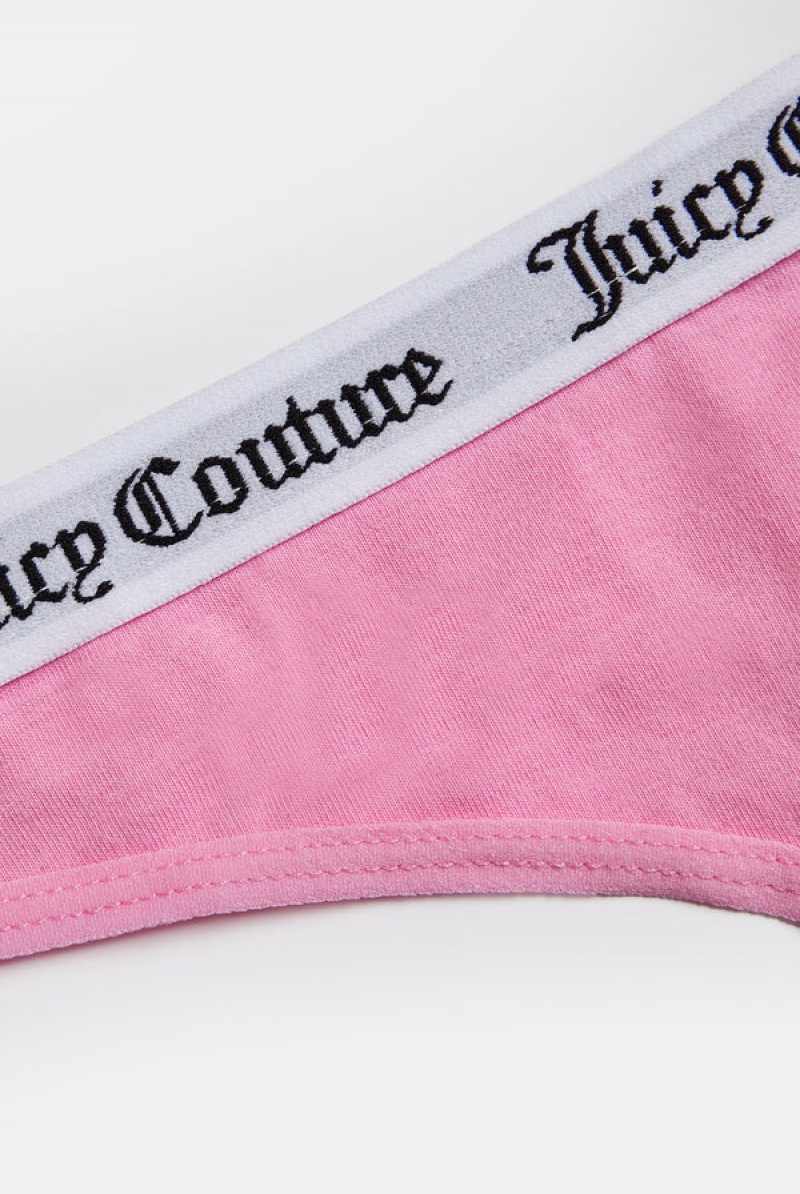 Begonia Pink Juicy Couture Cotton Branded Thong | JC-SN652257