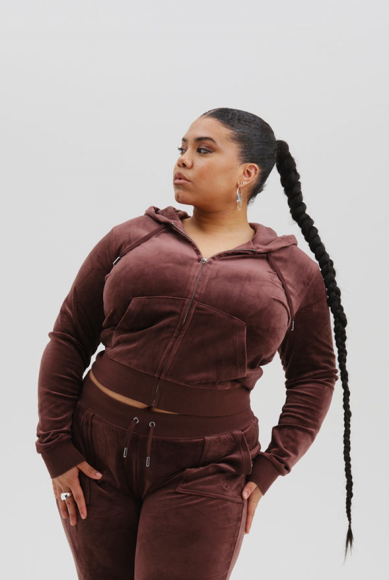 Bitter Chocolate Juicy Couture Classic Velour Robertson Hoodie | JC-SN652051