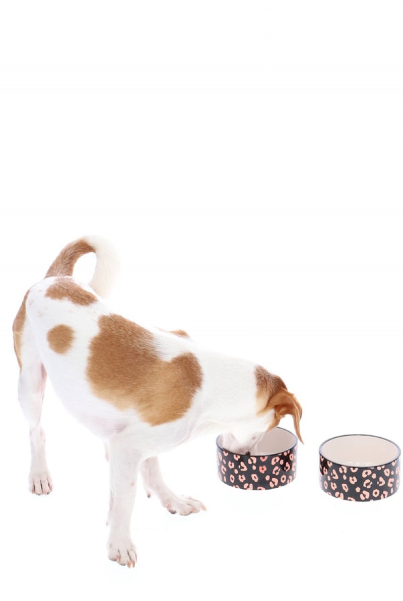 Black Juicy Couture Pet Set Of 2 Pet Ceramic Bowls | JC-SN652305