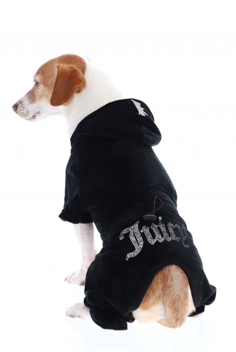 Black Juicy Couture Pet Velour Tracksuit Xs/S | JC-SN652311