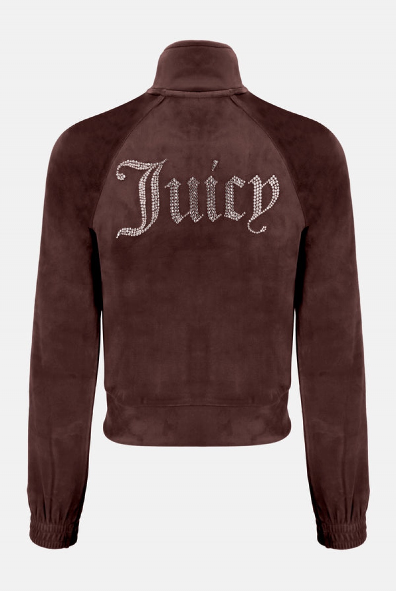 Brown Juicy Couture Velour Diamante Tracktop | JC-SN652059