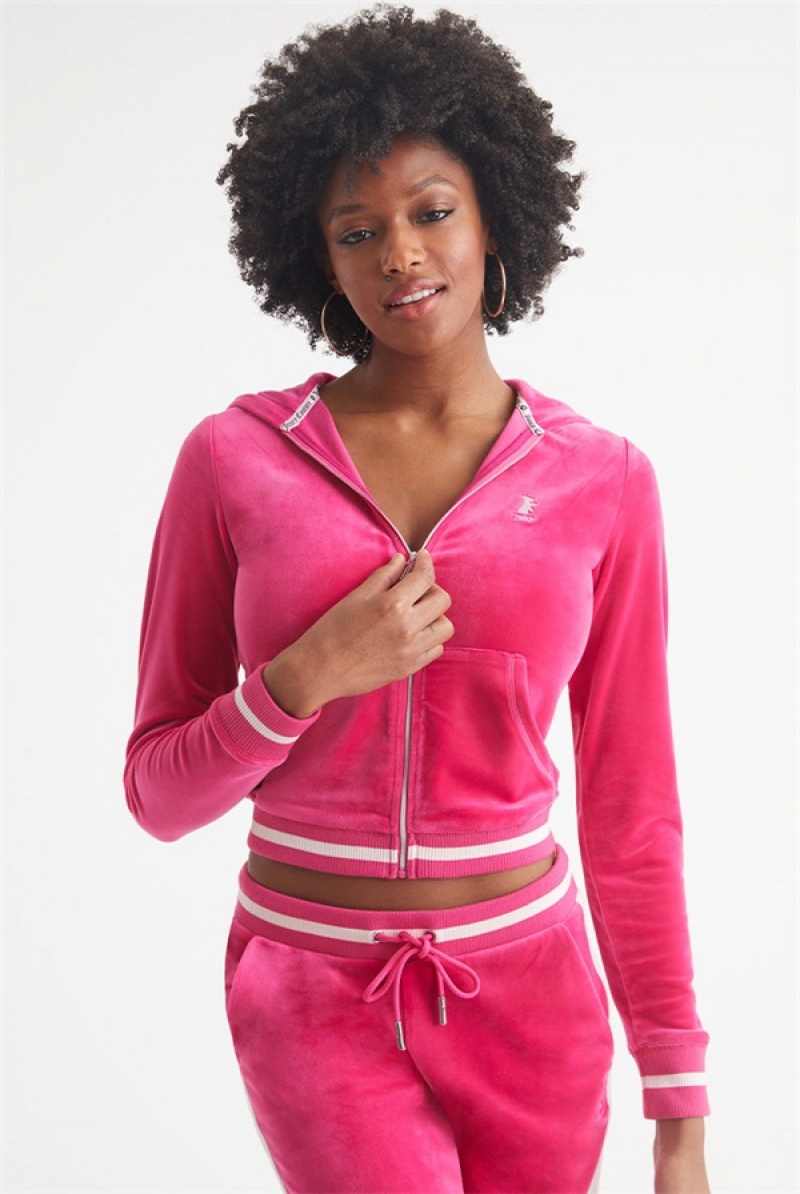 Free Love Juicy Couture Contrast Rib Velour Hoodie | JC-SN651547