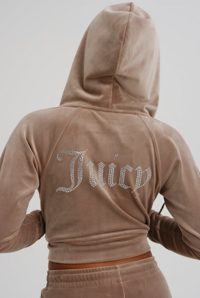 Fungi Juicy Couture Diamante Velour Zip-through Hoodie | JC-SN652128