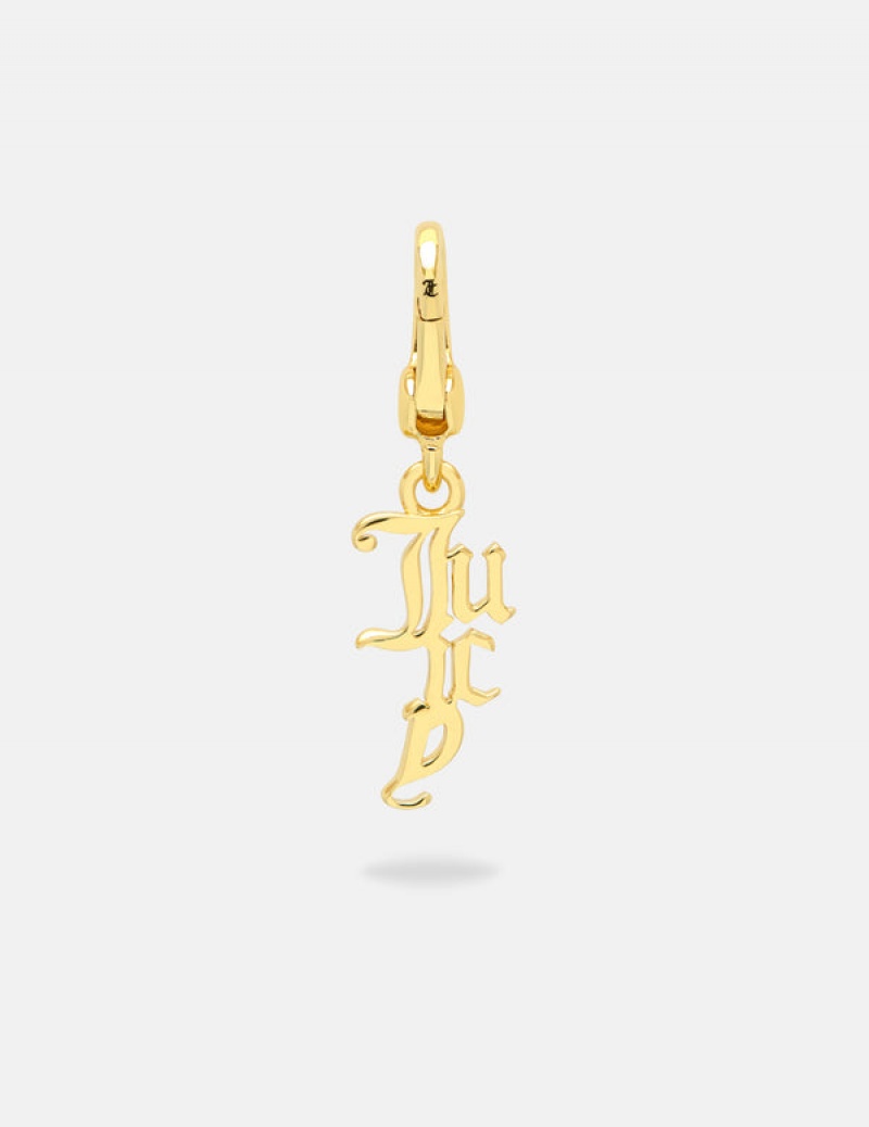 Gold Juicy Couture Juicy Drop Charm | JC-SN652383