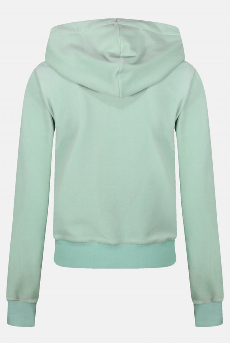 Green Juicy Couture Classic Velour Robertson Hoodie | JC-SN652008