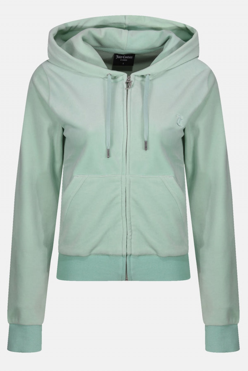 Green Juicy Couture Classic Velour Robertson Hoodie | JC-SN652008