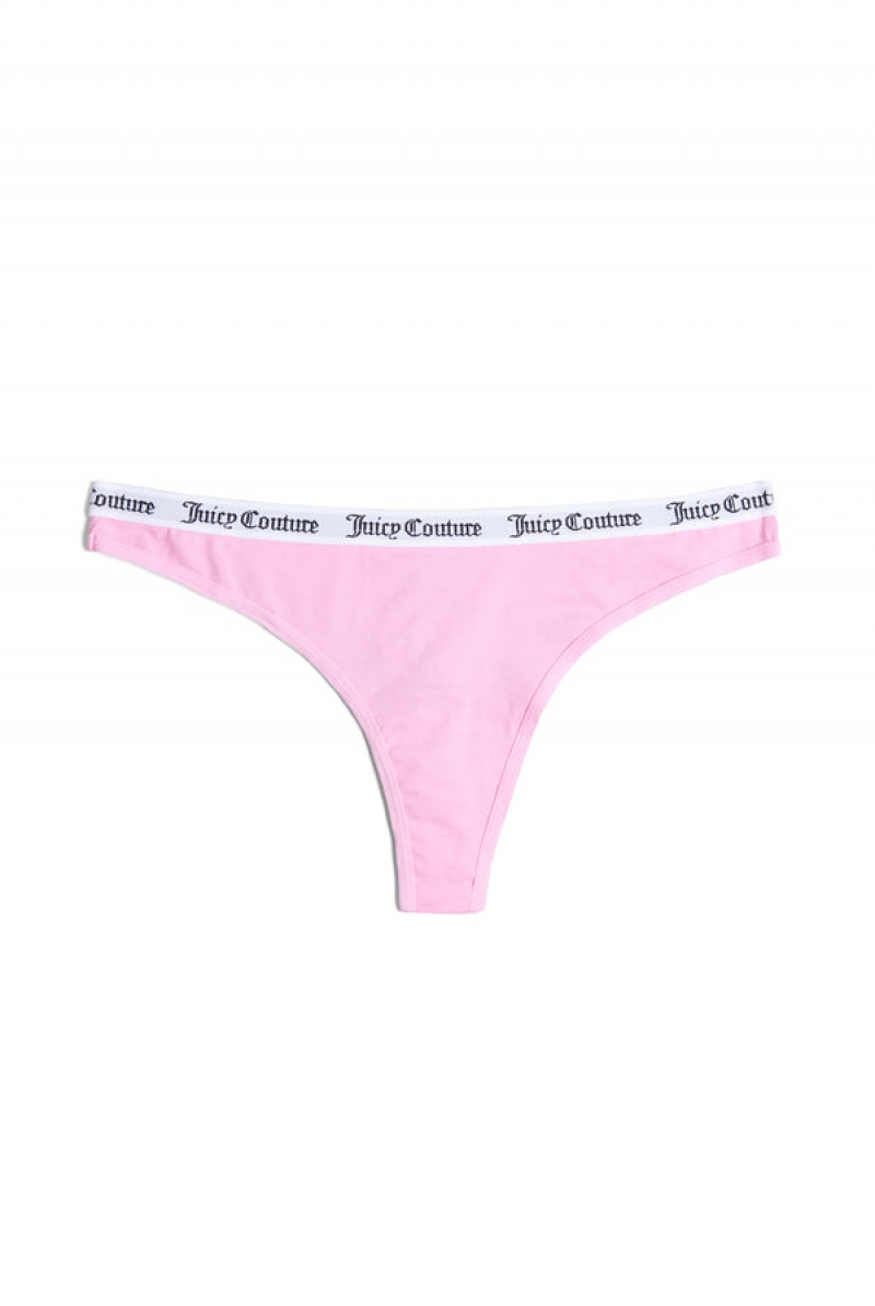 Multi Juicy Couture Pack Of 3 Cotton Branded Waistband Thongs | JC-SN652267