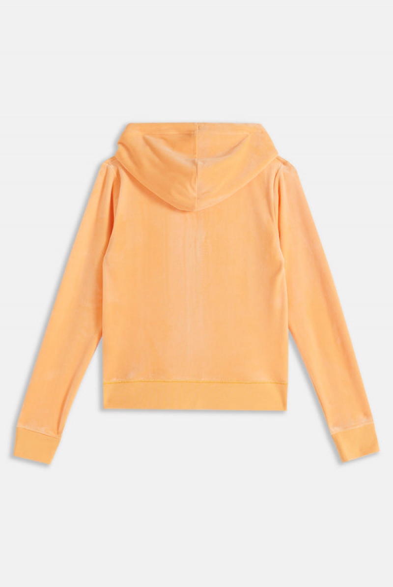 Papaya Juicy Couture Classic Velour Robertson Hoodie | JC-SN651982