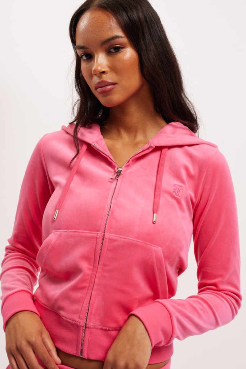 Pink Glo Juicy Couture Classic Velour Robertson Hoodie | JC-SN652103