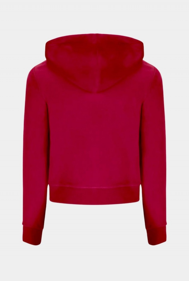 Pink Juicy Couture Classic Velour Robertson Hoodie | JC-SN652050