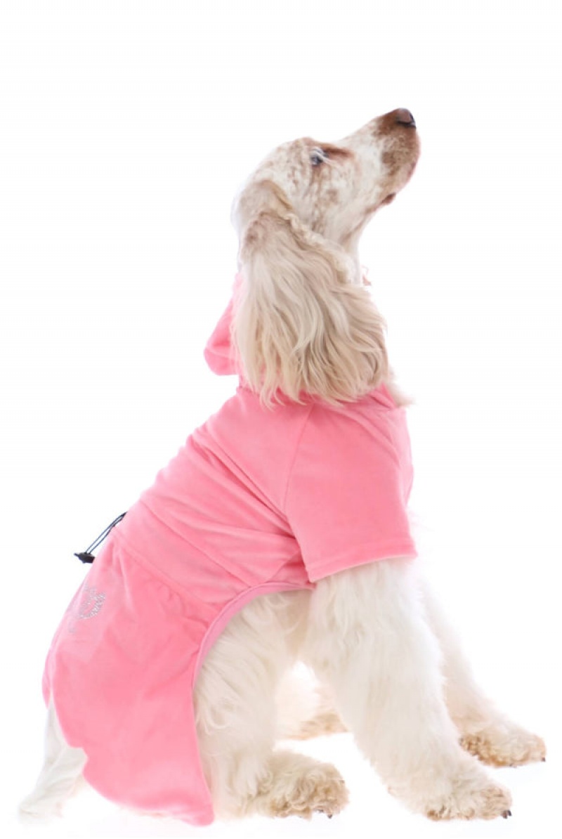 Pink Juicy Couture Pet Velour Tracksuit M/L | JC-SN652310