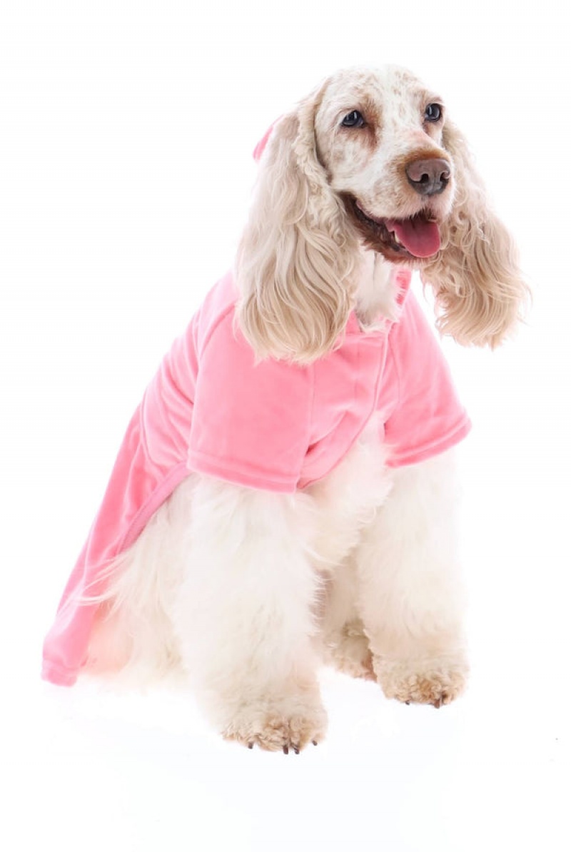 Pink Juicy Couture Pet Velour Tracksuit M/L | JC-SN652310