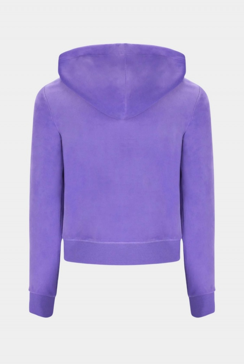 Purple Juicy Couture Classic Velour Robertson Hoodie | JC-SN652055