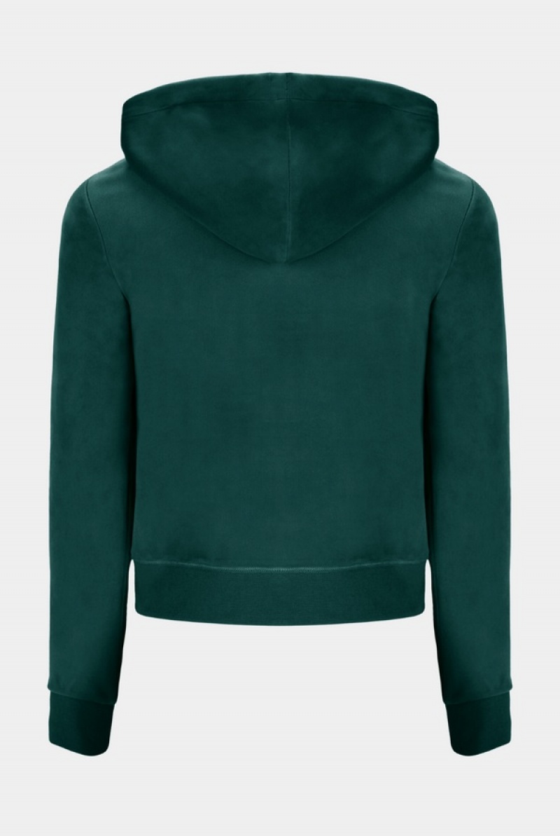 Rain Forest Juicy Couture Classic Velour Robertson Hoodie | JC-SN651965