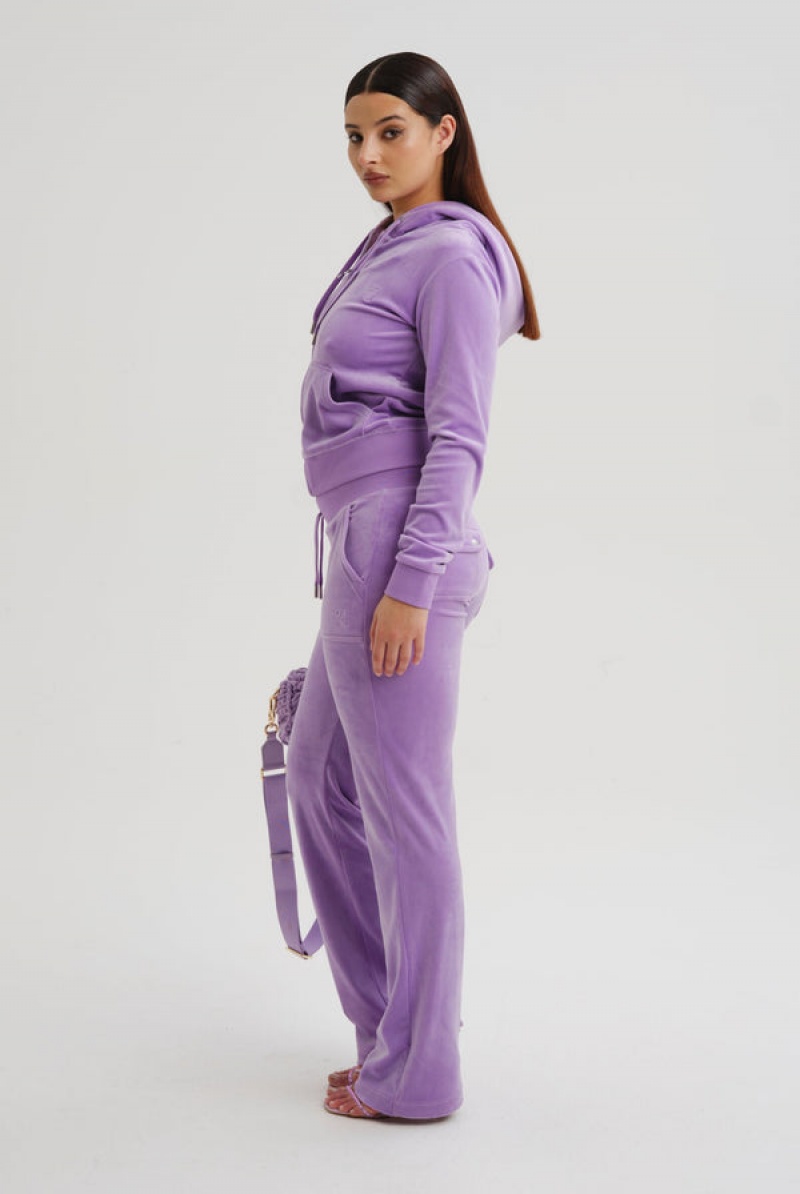 Sheer Lilac Juicy Couture Classic Velour Robertson Hoodie | JC-SN652072